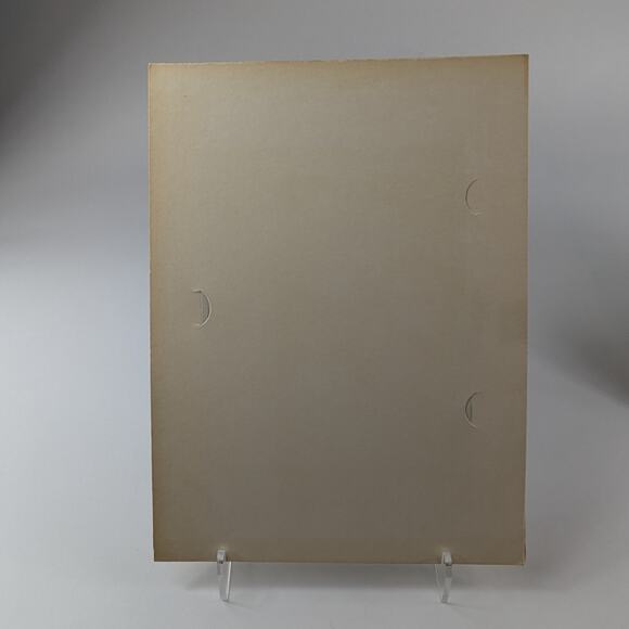 Foil Art Bird Lot Two (2) Signed F. Osborne Vintage B Parakeet Magnolias Floral2 - Picture 16 of 16